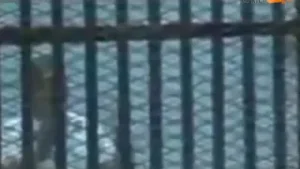 YAU SHEKARA DAYA KENAN DA RASUWA TSOHON SHUGABAN KASAR MASAR MUHAMMAD MURSI...