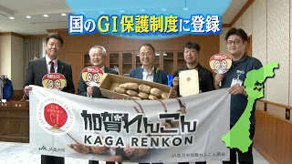 "Aiming to be Japan’s most delicious lotus root": Kaga Renkon officially registered under GI prot...