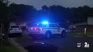 Siblings identified in fatal Gwynn Oak shooting