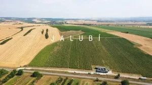 TVS: Mozaika - Obec Jalubí