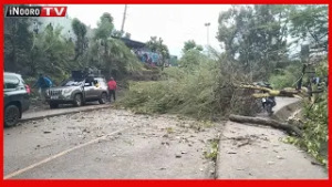 Mũtĩ gũtemwo na kũrekio bara Gachagua ndakaingĩre Meru, mũingĩ kũweherania