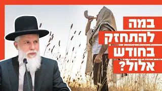Rabbi Zamir Cohen - What Should I Focus On Improving During the Month of Elul?