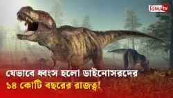 যেভাবে ধ্বংস হলো ডাইনোসরদের ১৪ কোটি বছরের রাজত্ব!Bijoy TV
