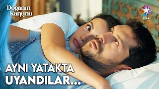 Doga and Yaman Woke Up in the Same Bed: "You've Wrapped Around Me Like an Octopus" | The Law of N...