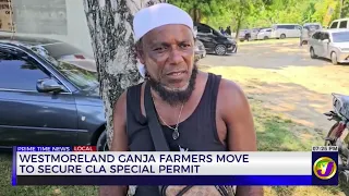 Westmoreland Ganja Farmers Move to Secure CLA Special Permit | TVJ News