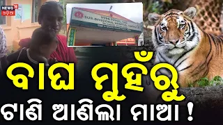 ହଠାତ୍ ରାତିରେ କଣ ହେଲା? Brave Mother Fights Hyena to Save 4-Year-Old Daughter in Malkangiri!