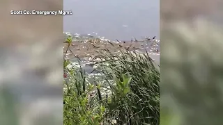 WATCH: Heavy rainfall causes mass fish deaths in Kansas lake