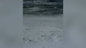 Tokį vaizdą pajūryje ne kasdien išvysi: skaitytoja pasidalijo kerinčiais kadrais