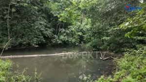 Aksi Bersih Wisata Alam IKN Peringati HPSN