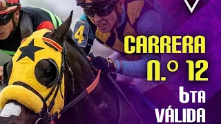 12TH RACE - HIPICO CLUB - LA RINCONADA RACECOURSE - MARCH 1, 2026 - 6TH RACE