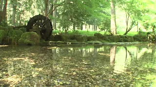 継体天皇も訪れた名水　人々の暮らしを1500年支えた「桃源清水」　福井豪雨で被害受けるも住民らの手で復興