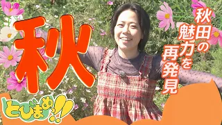 とびまめっ!!　秋の景色を堪能！秋田の魅力を再発見ツアー　2026年10月2日放送分
