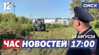 Police destroy a hectare of hemp / Election train / What the Irtysh sounds like. Omsk news