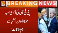 PTI’s Last Hope: Maulana Meets PM! #PTI #MaulanaFazlurRehman | Breaking News | GNN