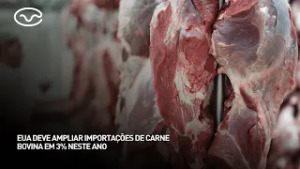EUA deve ampliar importações de carne bovina em 3% neste ano