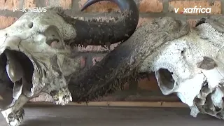 BURUNDI - Les feux de brousse ravagent un cinquième du parc de la Ruvubu