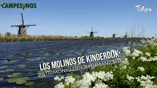 Los Molinos de Kinderdijk: Patrimonio de la Humanidad- TvAgro por Juan Gonzalo Angel