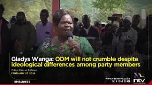 Gladys Wanga: ODM will not crumble despite ideological differences among party members