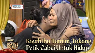 Sedih! Ibu Tumini Bekerja Sebagai Tukang Petik Cabai Untuk Hidup - SEHARI JADI RATU (16/8/26) P1
