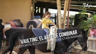 Vaulting: The Art of Combining Sport, Equestrianism, and Animal Welfare - TvAgro by Juan Gonzalo ...