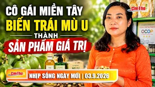 Mekong Delta woman turns Alexandrian laurel into a high-value product | Can Tho