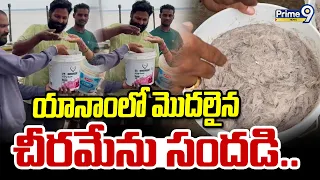 Yanam : యానాంలో మొదలైన చీరమేను సందడి.. | Prime9 News