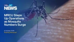 Ground Efforts Reduce Mosquito Spike by 75 Percent | Thursday 8 October | CIGtv News