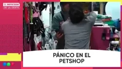 PANIC AT THE PET SHOP: He Threatened, Struck, and Locked Up the Employee