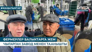 ФЕРМЕРЛЕР БАЛЫКТАРГА ЖЕМ ЧЫГАРГАН ЗАВОД МЕНЕН ТААНЫШТЫ