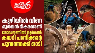 ചട്ട പൊഴിക്കാറായ രണ്ട് ഭീകരർ | Double Cobra Rescue | Snakemaster EP 1203