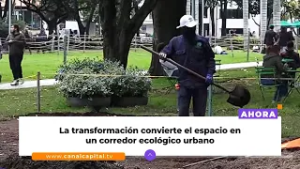 El Parque de la 93 se renueva con miles de plantas y nueve unidades de paisaje | Medio ambiente