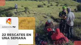 22 Pyrenees rescues in one week