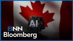 'Many sectors of the economy looking for opportunity to take advantage of AI': Tannenbaum