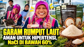 SUKA ASIN TAPI TAKUT DARAH TINGGI? GURU BESAR IPB BUAT GARAM DARI RUMPUT LAUT