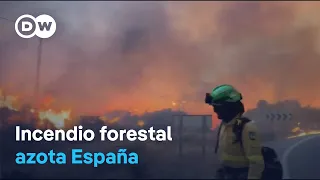 Violent Wildfire Leaves at Least 12 Dead in Southern Spain