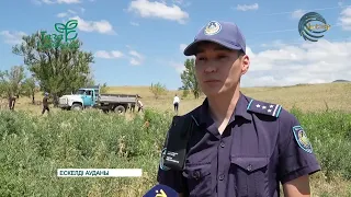 Ескелді ауданында мобильді топ тексеру жүргізді