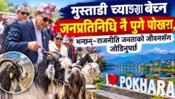 मुस्ताङी च्याङ्ग्रा बेच्न जनप्रतिनिधि नै पुगे पोखरा, भन्छन्–राजनीति जनताको जीवनसँग जोडिनुपर्छ