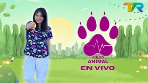 PULSO ANIMAL | 2DA TEMPORADA | 1 MARZO 2026