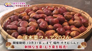 [Shittoko Miyazaki] I Love Suki: Suki Chestnuts in Season (Broadcast September 20, 2026)