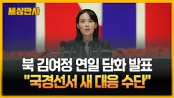 북 김여정 "전 국경선서 새 대응수단·확성기 대기" [세상만사] #북한 #김여정 #담화발표 #국경선