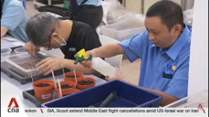 More sheltered workshop slots, housing options for persons with disabilities