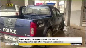Adisadel College Bully