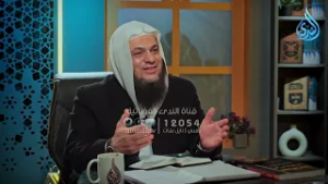 الجزء العاشر | ثلاثون جزءًا | الدكتور زكي أبو سريع يحاوره الدكتور سيد أبو شادي | ح11