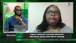 Enterprise Watch ||UNCE Unpacks leather industry proposed revolving input scheme