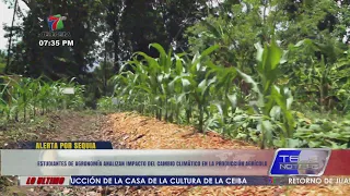 Agronomy students analyze the impact of climate change on agricultural production