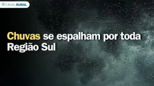 Chuvas se espalham por toda Região Sul | Previsão do tempo | Sul
