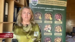 The Battle for the National Potato
