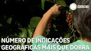 Número de Indicações Geográficas (IGs) mais que dobra em cinco anos