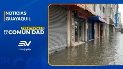 Businesses underwater: the significant losses from the rains in Guayaquil | Televistazo | Ecuavisa
