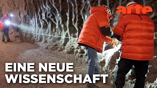 Das Gedächtnis der Pflanzen und Tiere - Heißzeit | Doku HD Reupload | ARTE